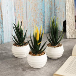 Set Of 3 Snake Plant Artificial Flowers and Plants With Pot